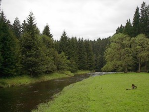 2001.08.08 12.57.47.jpg